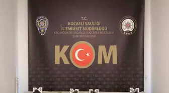 Kocaeli ve İstanbul'da organize suç operasyonu: 15 gözaltı