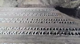 Mezarlar artık bir tık uzakta: İsteyen fotoğrafını görecek, isteyen dua okutacak