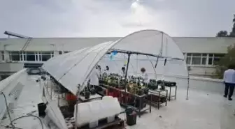 Öğrencileri olumsuz hava şartlarından korumak için fakültenin terasına sera kurdu