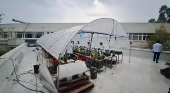 Öğrencileri olumsuz hava şartlarından korumak için fakültenin terasına sera kurdu