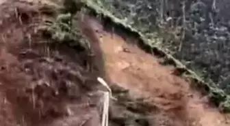 Rize'de yağmur heyelana yol açtı