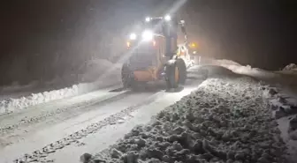 Siirt-Bitlis kara yolu, kar nedeniyle ağır tonajlı araçların geçişine kapatıldı
