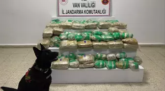 Van'da arazide 51 kilo skunk ele geçirildi