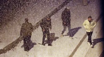 Van'da kar yağışı etkili oldu