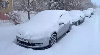 Van, Hakkari, Bitlis ve Muş'ta kar nedeniyle 1493 yerleşim yerinin yolu kapandı