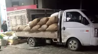 Yılbaşına günler kala fındık fiyatları yükselişe geçti