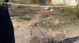 Yol kenarında kadın cesedi bulundu
