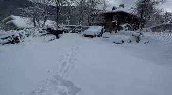 Bartın'da kar yağışı; 44 köy yolu ulaşıma kapandı