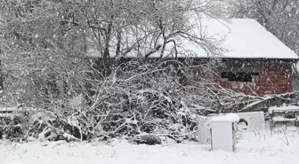 Bilecik'in Pazaryeri ilçesinde taşımalı eğitime 1 gün ara verildi