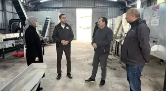 Ceviziyle öne çıkan Gölpazarı'nda üretim zinciri güçleniyor