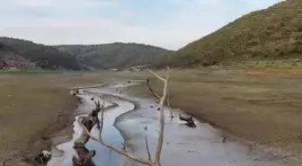 İstanbul'a neden kar yağmıyor? Uzmanı tek bir nedene bağladı