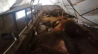 Karabük'te Kar Yağışı: Eğitime 1 Gün Ara Verildi