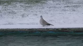 Kayseri'de kar yağışı etkili oldu