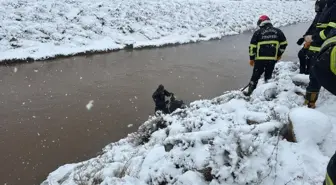 Otomobil sulama kanalına düştü; baba ve 3 çocuğu aranıyor
