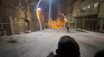 Pervari'de vatandaşlar kar yağışının tadını kayarak çıkardı