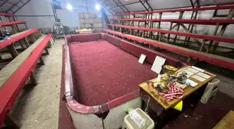 Sakarya'da horoz dövüşü operasyonu