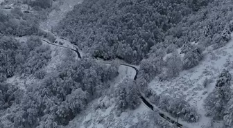 Sakarya'nın yüksek kesimlerinde kar yağışı etkili oluyor
