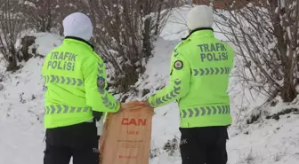 Sivas'ta trafik polisleri yaban hayvanlarını unutmadı