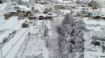Trabzon'da Kar Yağışı Sonrası Beyaz Örtüyle Kaplandı