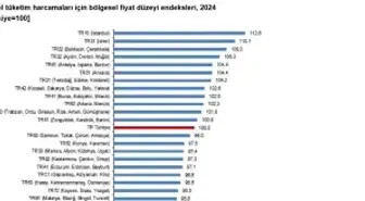 TÜİK: 2024'te fiyat düzeyi endeksi en yüksek bölge İstanbul oldu