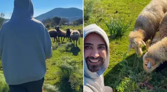 Ünlü şarkıcı Tan koyunları besledi, vegan olun mesajı verdi