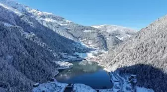 Uzungöl'de 'beyaz bereket'; rezervasyonlarda artış