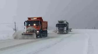 Van'da 266 yerleşim yerinin yolu kapalı