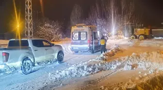 Van'da 341 yerleşim yeri kardan kapalı; okullar da tatil