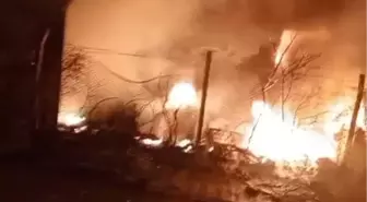 Adana'da geri dönüşüm fabrikasında yangın