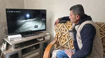 Amasya'da köye inen ayı güvenlik kamerasıyla görüntülendi