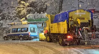 Artvin'de kar yağışı etkili oldu