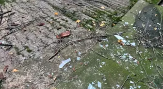 Beyoğlu'nda ağacın kırılan dalları binanın üzerine düştü