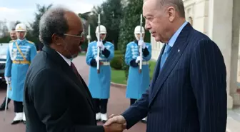 Cumhurbaşkanı Erdoğan Somali Cumhurbaşkanı ile görüşüyor