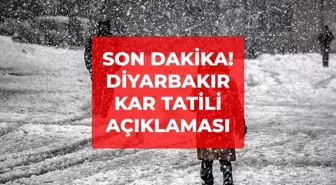 Diyarbakır okullar tatil mi? 31 Aralık Diyarbakır'da yarın okullar tatil mi, Diyarbakır Valiliği kar tatili açıklaması yaptı mı?