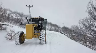 Elazığ'da kapanan köy yolları ulaşıma açıldı