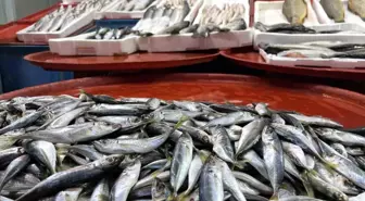 Geciken kış Konya'da balığı da vurdu