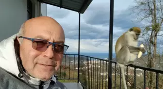 Giresun'da kaçan maymun, bir vatandaşın evine girdi