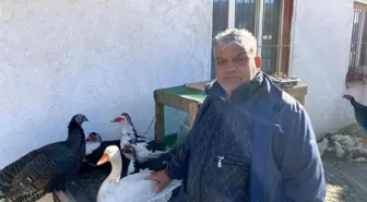 Hindi var, kaz var alıcı yok: Tezgâhlarda durgunluk