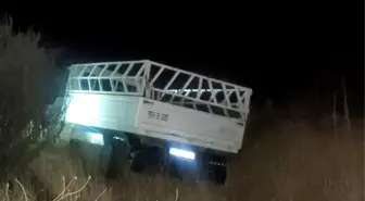 Kamyonet şarampole devrildi: 1 yaralı