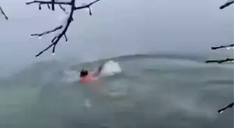 Karlı havada Dicle Nehri'ne daldı