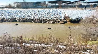 Kayıp sürücüyü arama çalışması devam ediyor