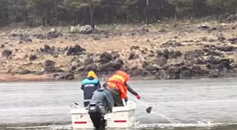 Seben Gölü'nde yapılan denetimde 500 metre uzunluğunda ağ ele geçirldi