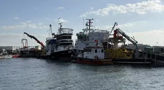 Tekirdağlı balıkçılar yeni yılda sardalya ve istavrit umuduyla ağ atacak