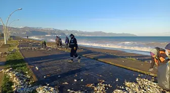 Trabzon'da fırtınada sahile vuran atıklar temizlendi