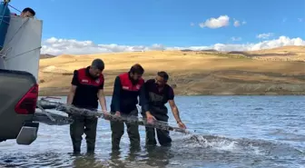 Türkiye nüfusu kadar balık deniz ve göllere bırakıldı