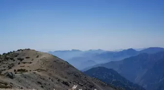 ABD'de dağ yürüyüşüne çıkan 3 kişi hayatını kaybetti