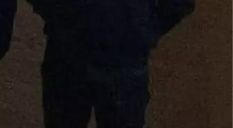 Ağaca çarpan otomobil ikiye bölündü; 1 ölü (2)