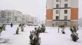 Araban Ovası'na kar yağışı çiftçilerin yüzlerini güldürdü