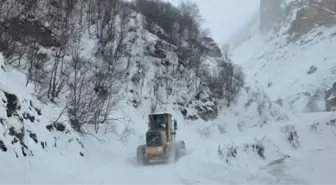 Artvin'de çığ düştü SON DAKİKA! Artvin'de meydana gelen çığ düşmesinde ölü ya da yaralı var mı?