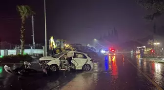 Aydın'da refüjdeki ağaca çarpan otomobilin sürücüsü hayatını kaybetti